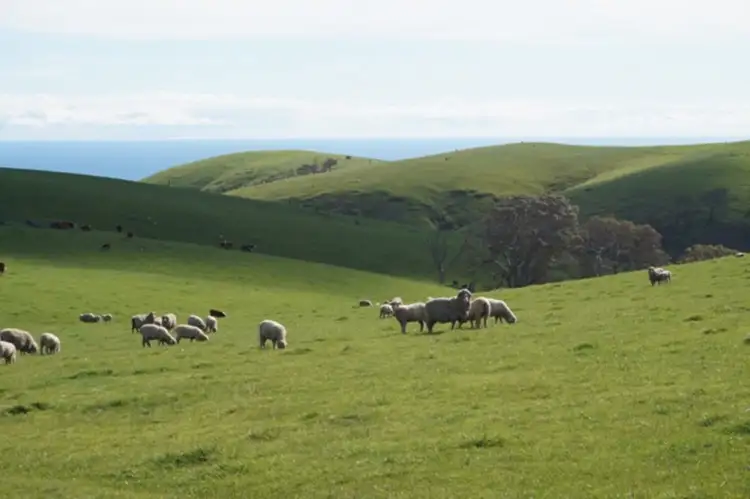 Third view of Homely rural property listing, LOTS/51 & 52 Reservoir Road, Myponga SA 5202