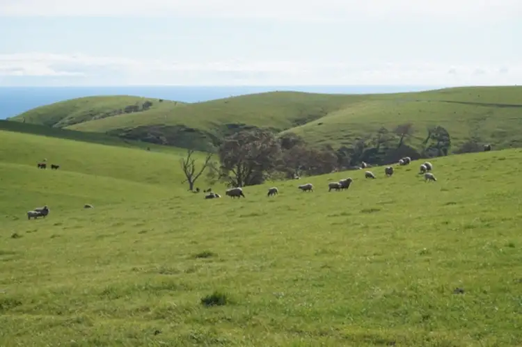 Fourth view of Homely rural property listing, LOTS/51 & 52 Reservoir Road, Myponga SA 5202