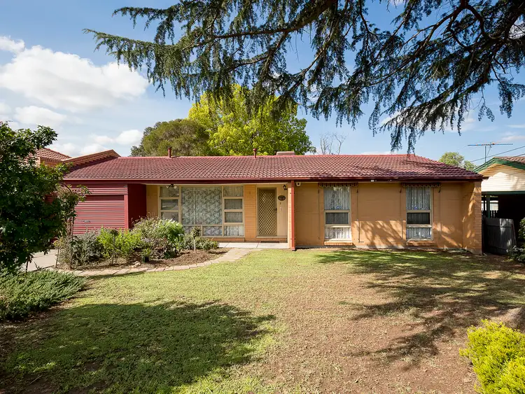 3 Faulkner Street, Modbury SA 5092
