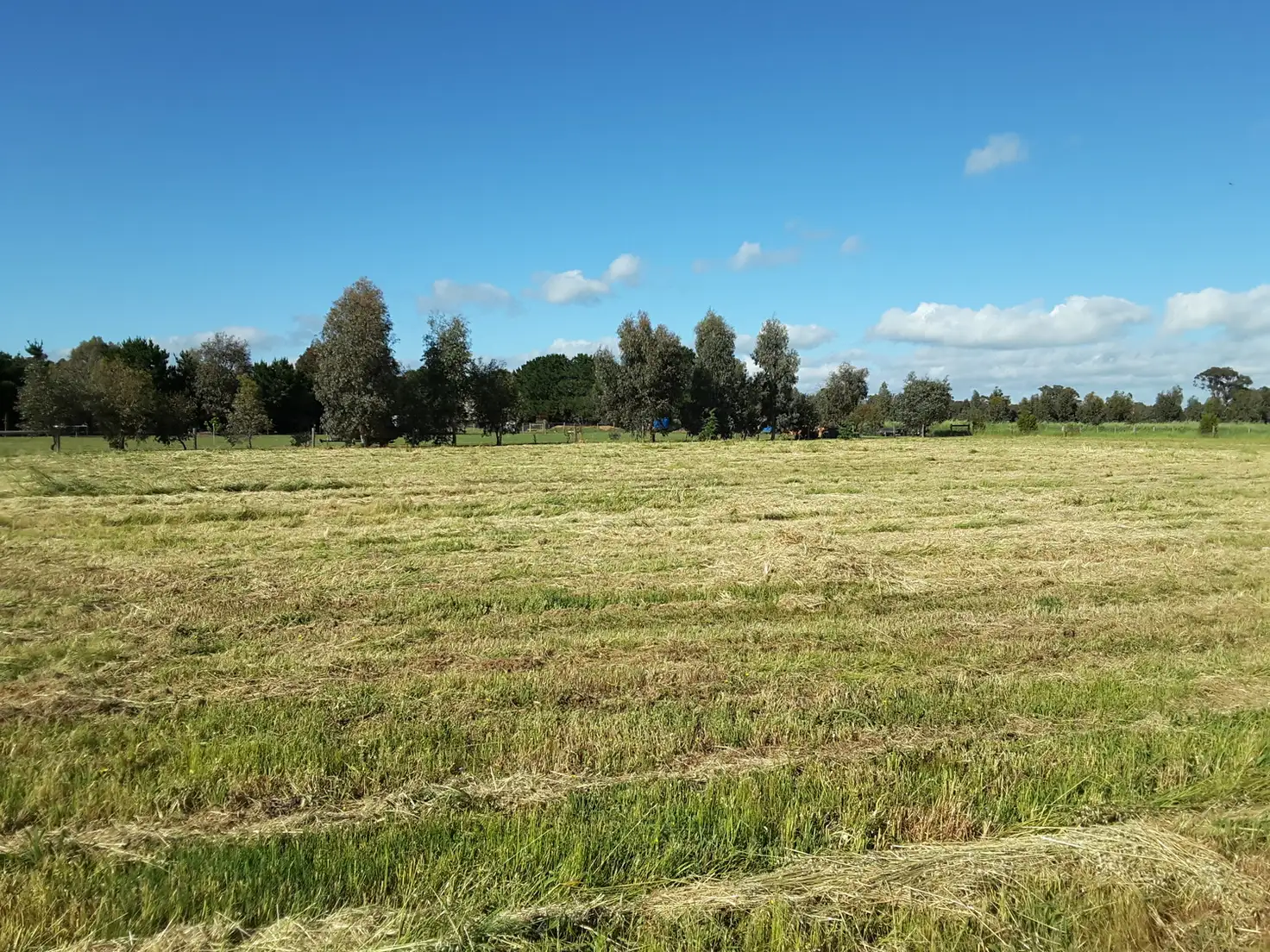 Main view of Homely land listing, LOT 5, 18 Edith Court, Toolamba VIC 3614