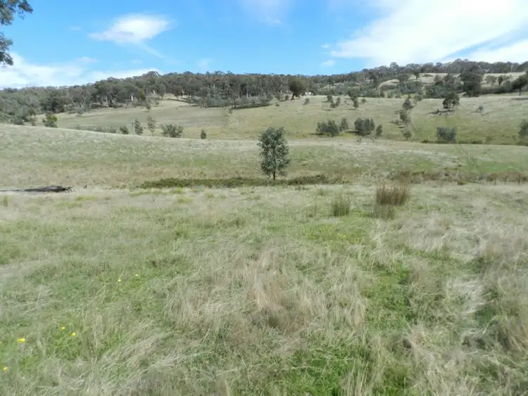 Fifth view of Homely rural property listing, 1252 Kangaloolah Road, Binda NSW 2583