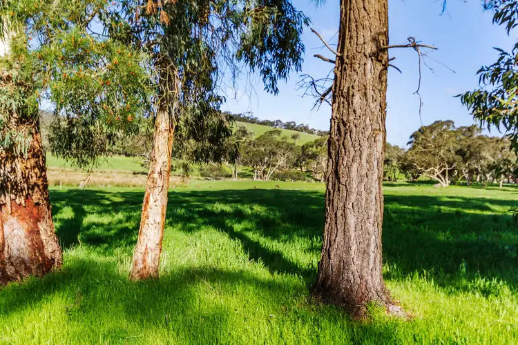 Second view of Homely rural property listing, 173 Proctor Road, Hope Forest SA 5172