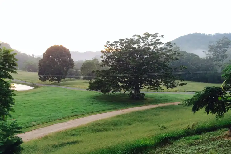 Sixth view of Homely rural property listing, 657 Cudgera Creek Road, Cudgera Creek NSW 2484