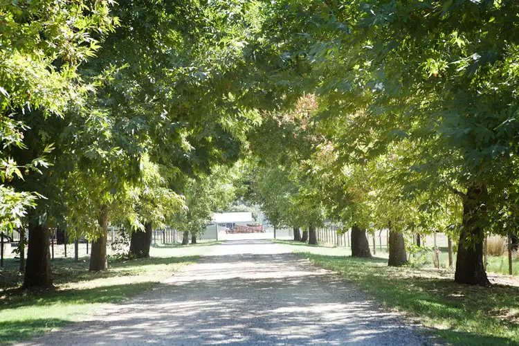 Sixth view of Homely rural property listing, 95 Shepparton-Euroa Road, Shepparton East VIC 3631