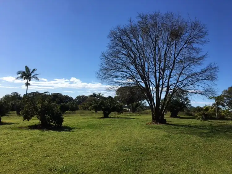 Seventh view of Homely rural property listing, 48 Loders Road, Duranbah NSW 2487