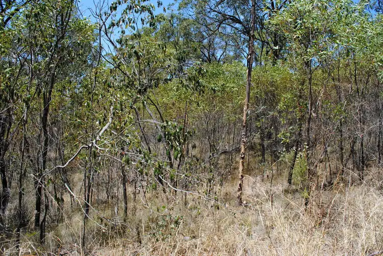 Third view of Homely land listing, 14 Walter Street, Blackstone QLD 4304