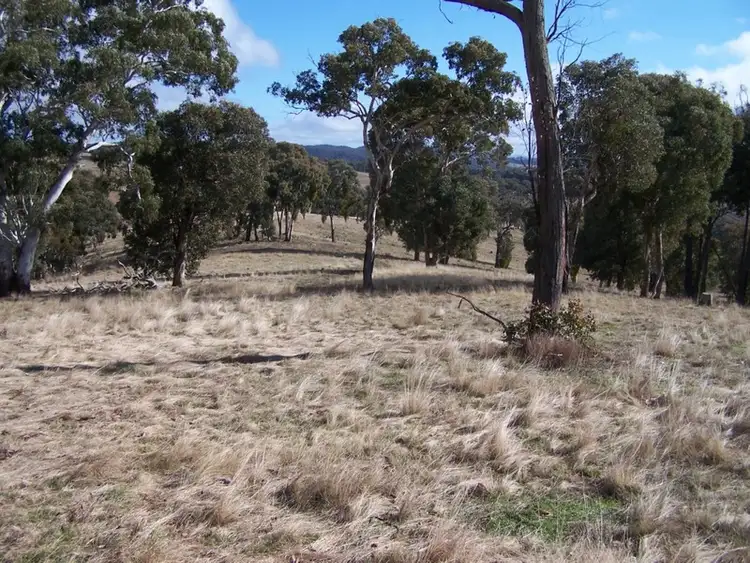 Sixth view of Homely rural property listing, 1252 Kangaloolah Road, Binda NSW 2583