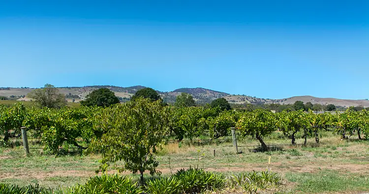 Fourth view of Homely house listing, 56A Barossa Valley Way, Tanunda SA 5352