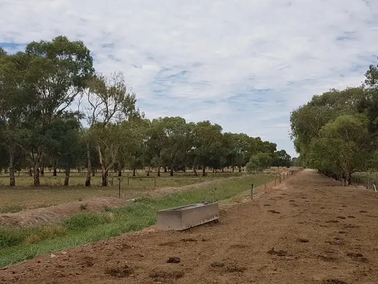Seventh view of Homely rural property listing, 1307 Boothroyds Road, Numurkah VIC 3636