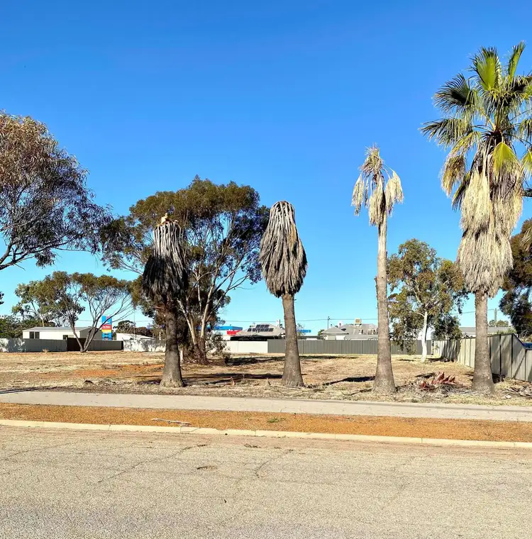 Main view of Homely land listing, 4 Watt Street, Kellerberrin WA 6410