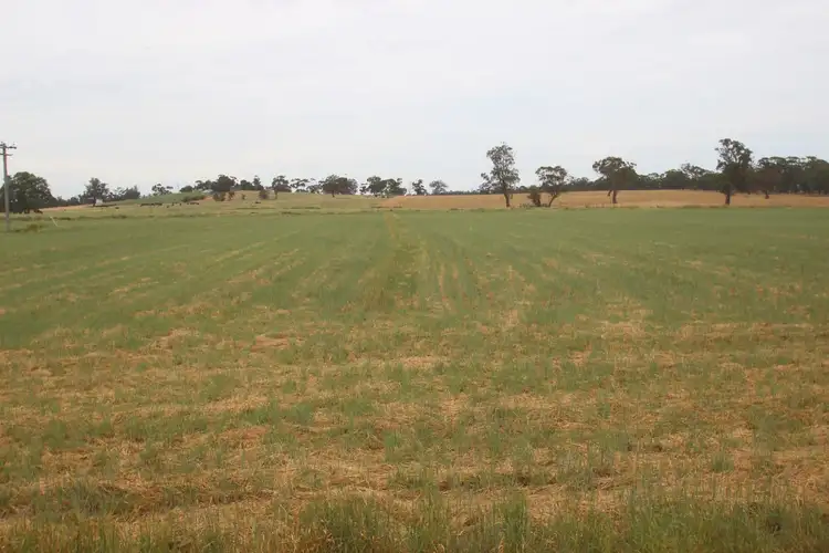 Third view of Homely rural property listing, 676 Carisbrook-Eddington Road, Carisbrook VIC 3464