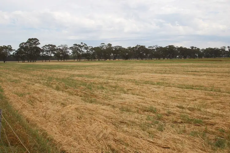 Fourth view of Homely rural property listing, 676 Carisbrook-Eddington Road, Carisbrook VIC 3464