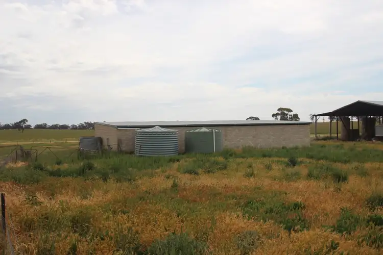 Sixth view of Homely rural property listing, 676 Carisbrook-Eddington Road, Carisbrook VIC 3464