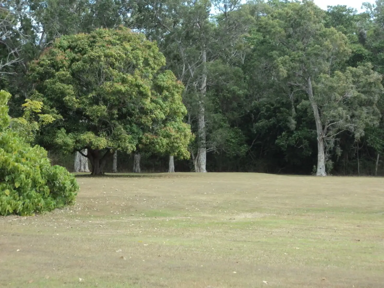 Main view of Homely land listing, 50 Bundesen Avenue, Midge Point QLD 4799