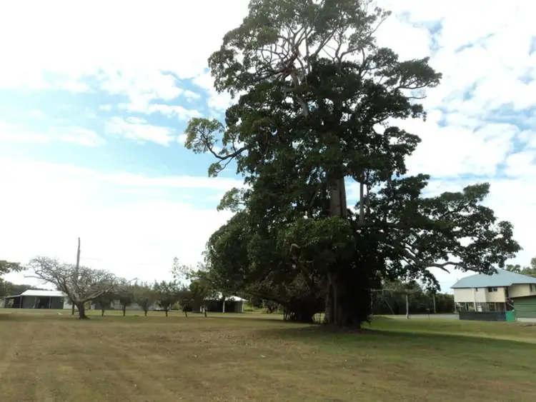 Seventh view of Homely land listing, 50 Bundesen Avenue, Midge Point QLD 4799