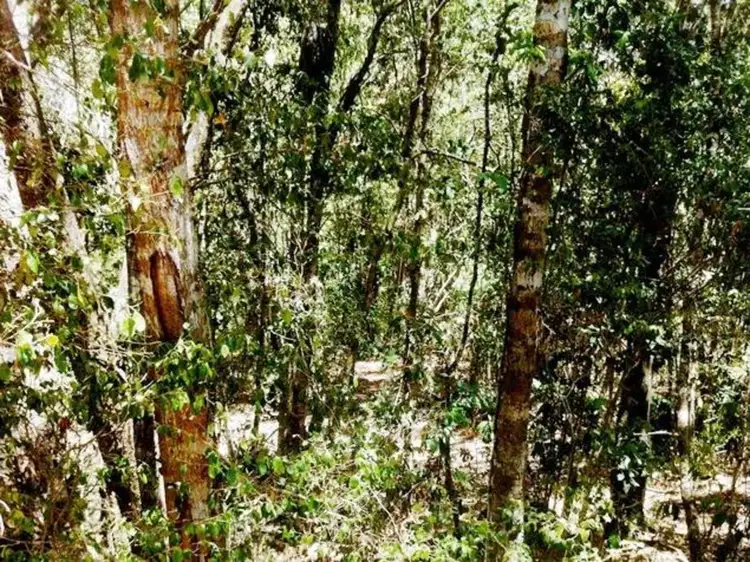 Fourth view of Homely land listing, LOT 2, 89 Timberland Road, Jubilee Pocket QLD 4802