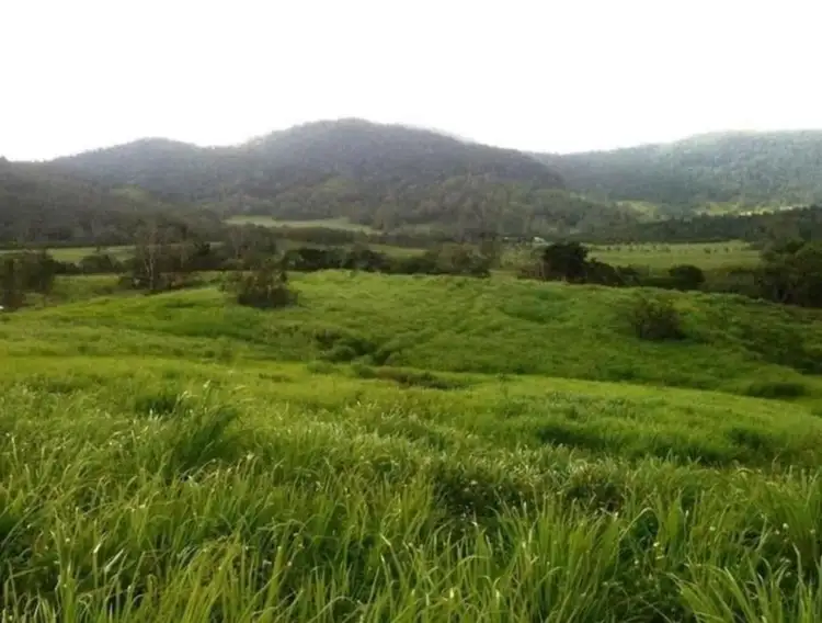 Main view of Homely land listing, 113 Monaghan Road, Palm Grove QLD 4800