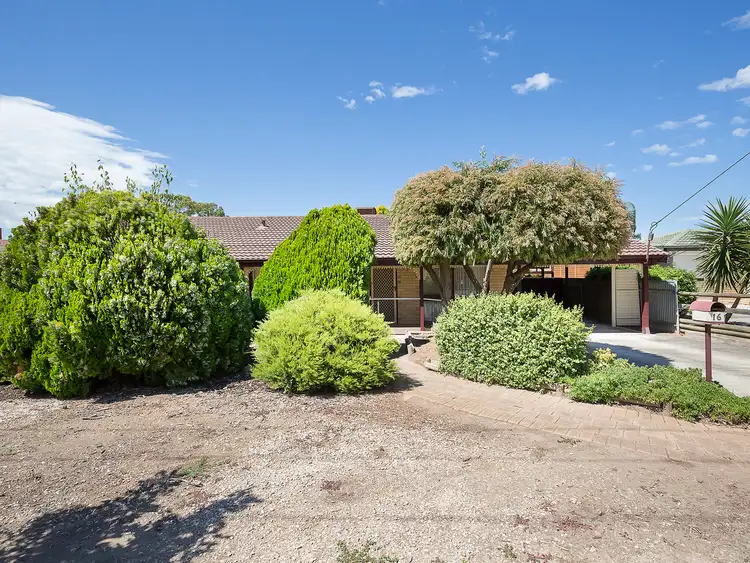 16 Melrose Street, Modbury Heights SA 5092