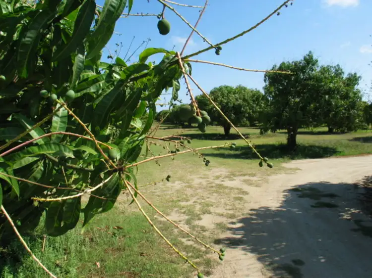 Fourth view of Homely rural property listing, Lot 1 Millers Lane, Bowen QLD 4805