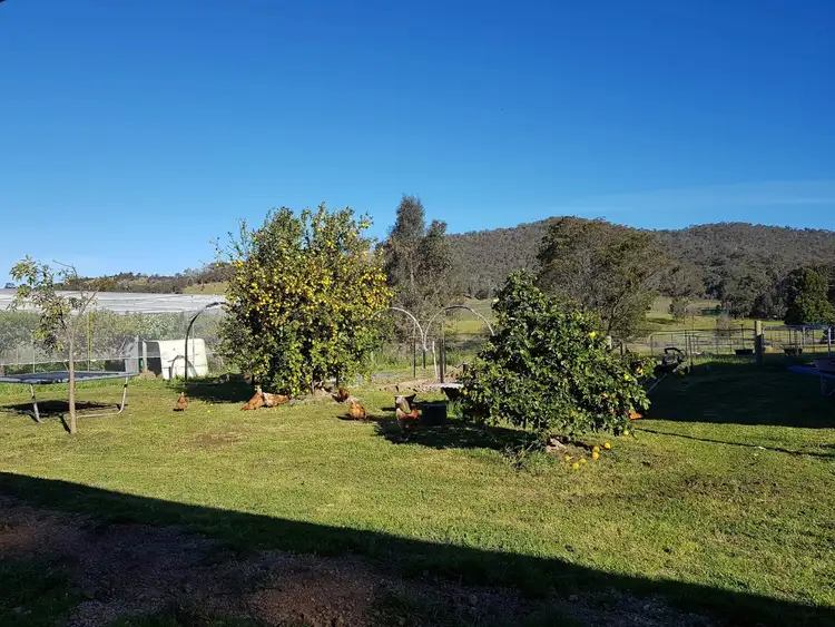 Sixth view of Homely house listing, 29 Stringybark Lane, Avoca VIC 3467