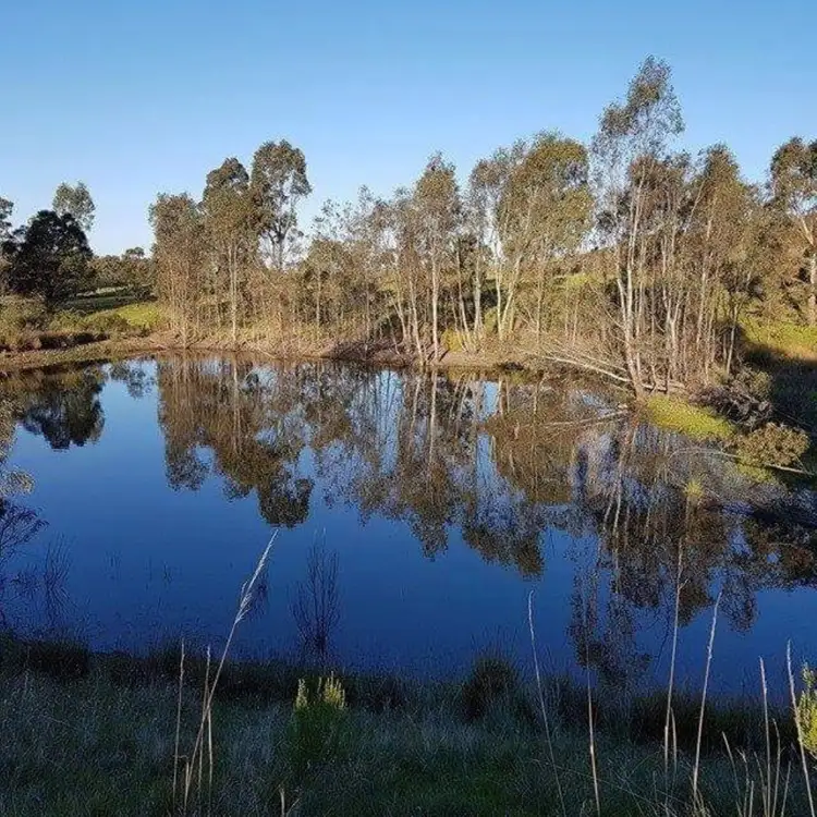 Seventh view of Homely house listing, 29 Stringybark Lane, Avoca VIC 3467