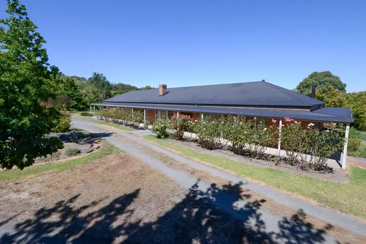Main view of Homely house listing, 62 Allsops Road, Woori Yallock VIC 3139