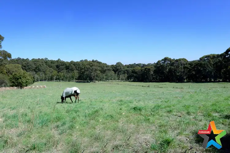 Fourth view of Homely house listing, 55 Grover Road, Hoddles Creek VIC 3139