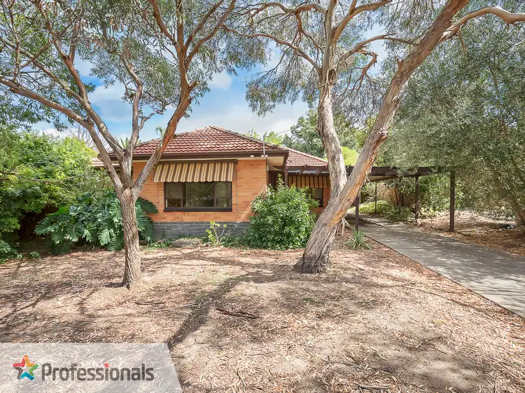 Main view of Homely house listing, 10 Oxford Crescent, Modbury SA 5092