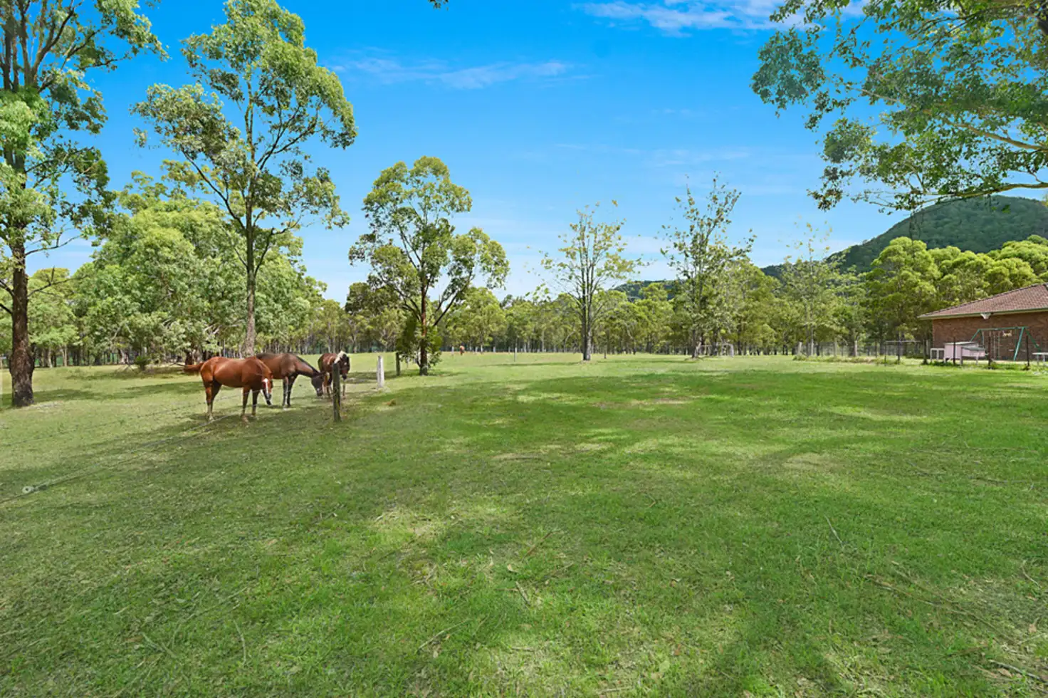 Main view of Homely rural property listing, 40 Mowbray Lane, Paterson NSW 2421