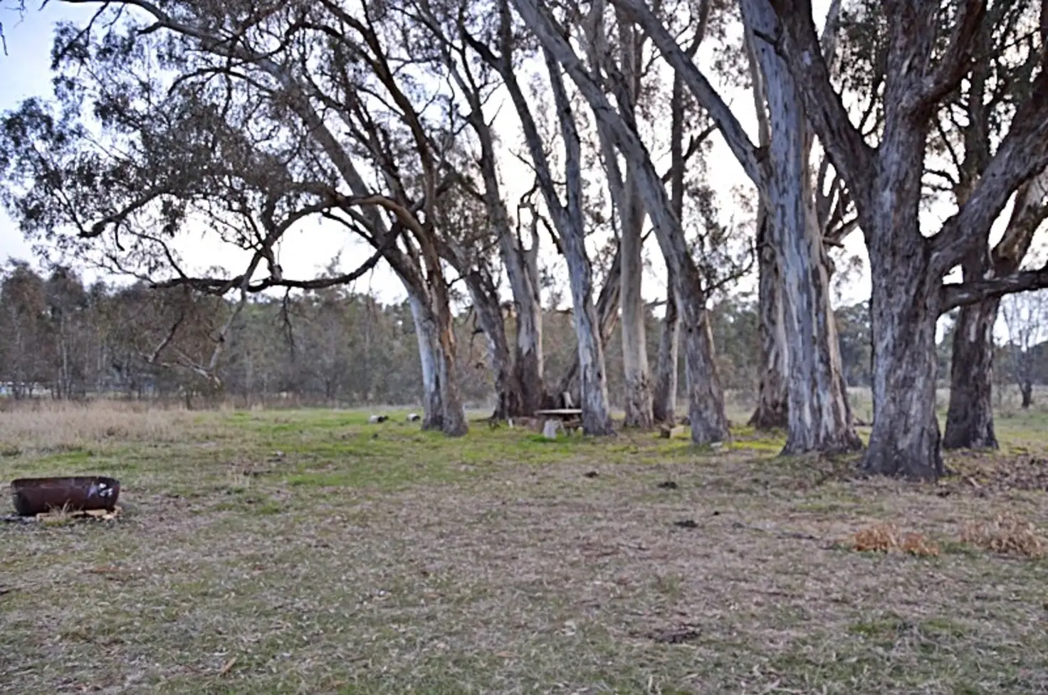 Main view of Homely land listing, 32 Babbler Lane, Nagambie VIC 3608