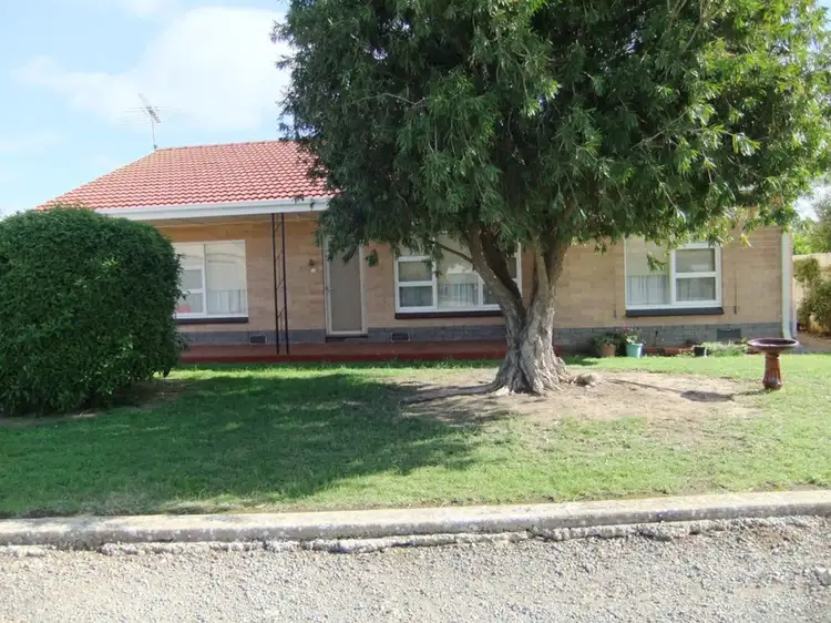 Main view of Homely house listing, 3 Young Street, Yorketown SA 5576