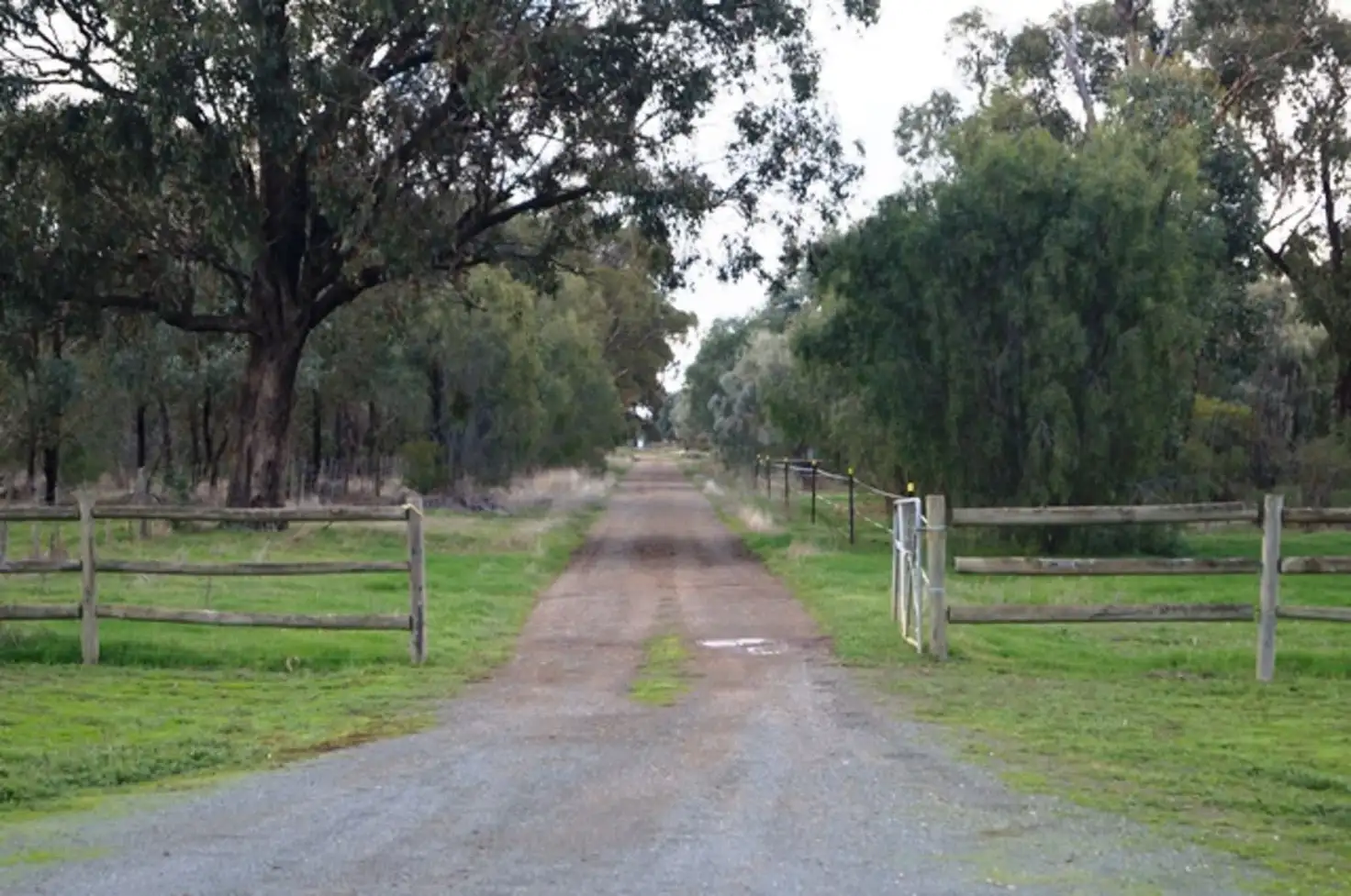Main view of Homely rural property listing, 460 Bunbartha Tallygaroopna West Road, Tallygaroopna VIC 3634
