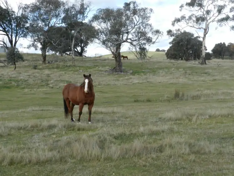 Second view of Homely rural property listing, Lot 2 Junction Point Road, Binda NSW 2583