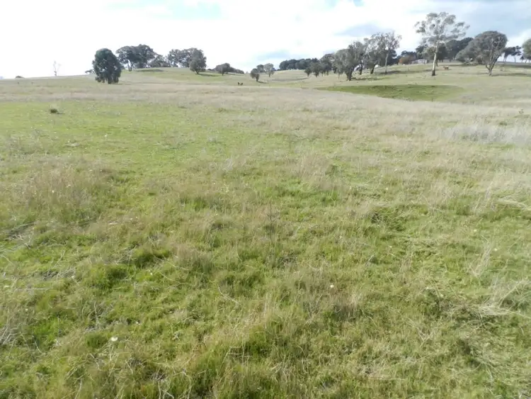 Fifth view of Homely rural property listing, Lot 2 Junction Point Road, Binda NSW 2583