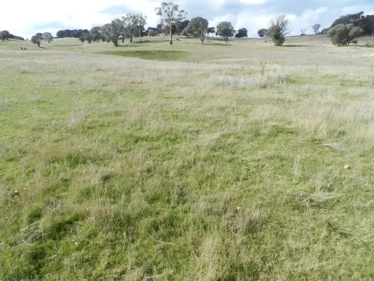 Sixth view of Homely rural property listing, Lot 2 Junction Point Road, Binda NSW 2583