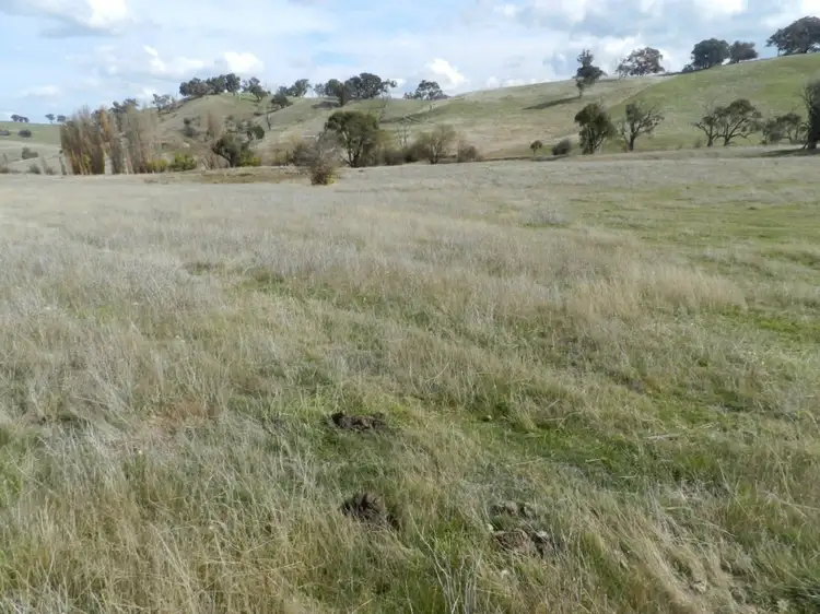 Main view of Homely rural property listing, Lot 1 Junction Point Road, Binda NSW 2583
