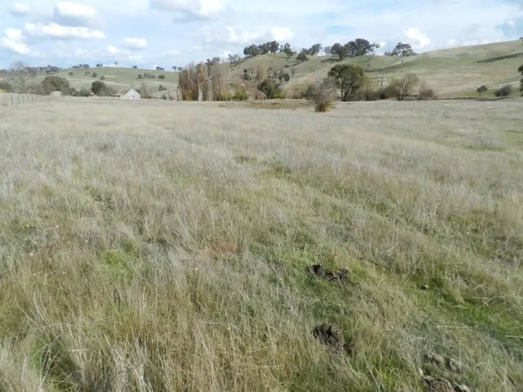 Third view of Homely rural property listing, Lot 1 Junction Point Road, Binda NSW 2583