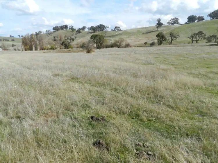 Sixth view of Homely rural property listing, Lot 1 Junction Point Road, Binda NSW 2583