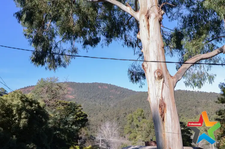 Third view of Homely house listing, 24 McKenzie King Drive, Millgrove VIC 3799