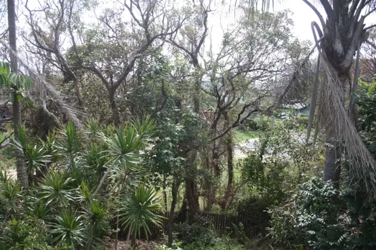 Fifth view of Homely house listing, 18 Midjimberry Road, Point Lookout QLD 4183