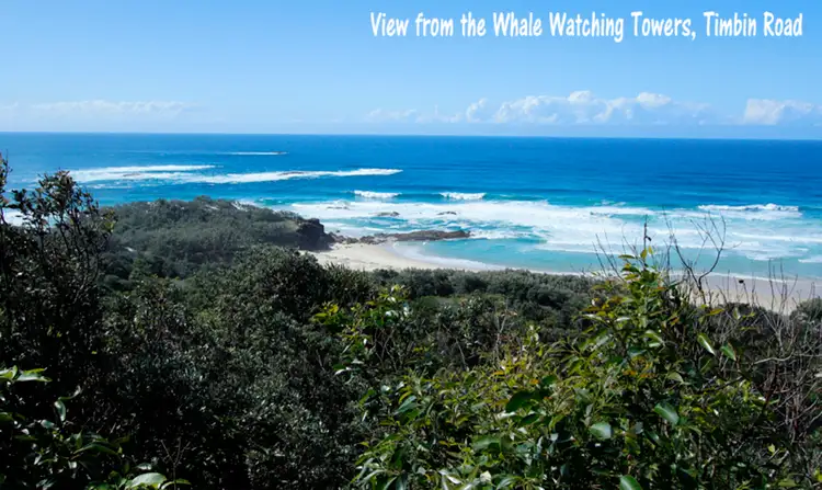 Fourth view of Homely house listing, 26 Timbin Road, Point Lookout QLD 4183