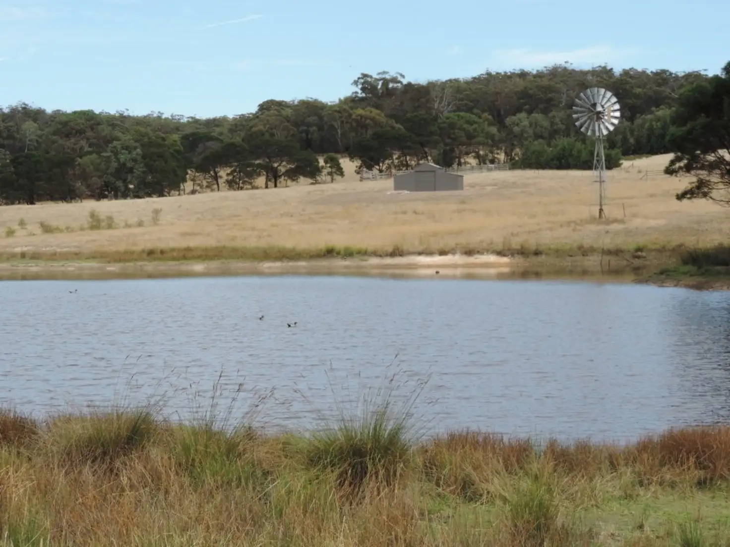 Main view of Homely rural property listing, Lot 5 Dewsbury Lane, Quialigo NSW 2580