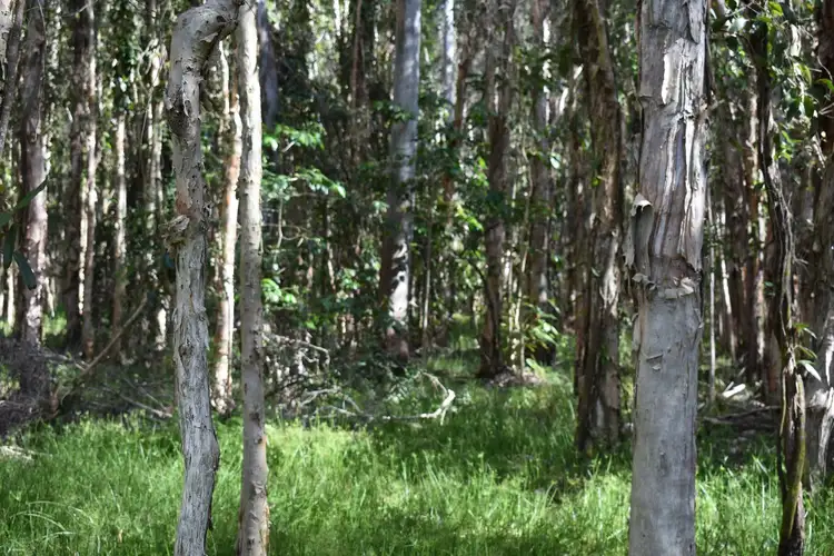 Seventh view of Homely land listing, 33-61 Kirby Road, Elimbah QLD 4516