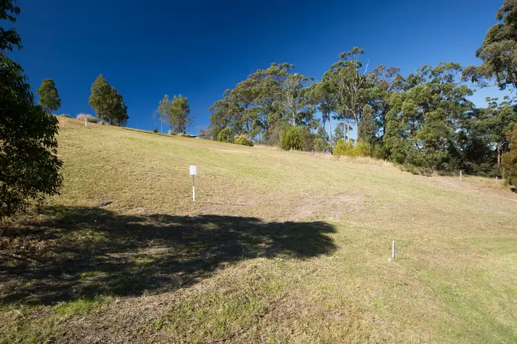 Fifth view of Homely land listing, LOT Lot, 623 The Bridle Path, Tallwoods Village NSW 2430