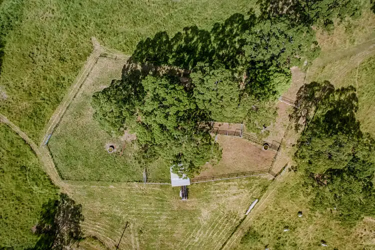 Fifth view of Homely rural property listing, 101-109 Kellehers Road, Pomona QLD 4568