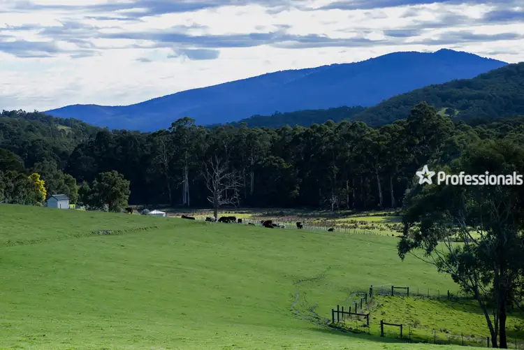 Main view of Homely land listing, 615 Gembrook Road, Hoddles Creek VIC 3139