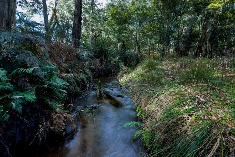 Second view of Homely land listing, 615 Gembrook Road, Hoddles Creek VIC 3139