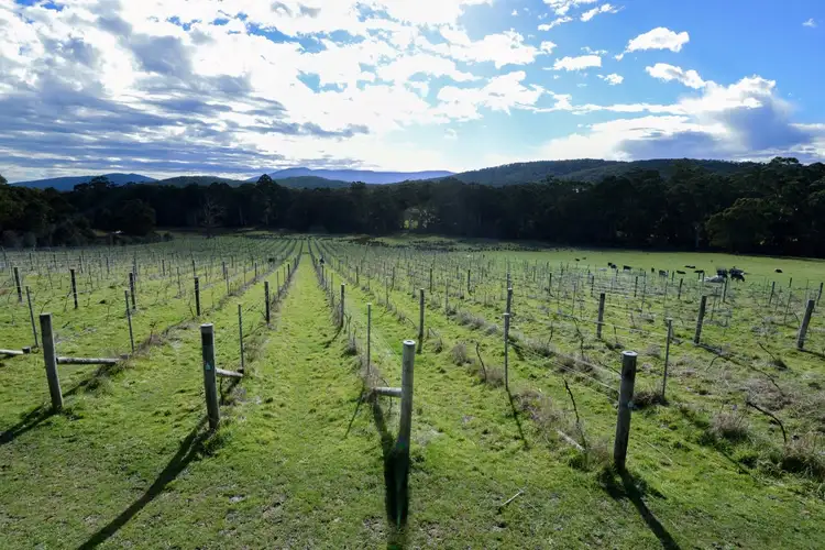 Third view of Homely land listing, 615 Gembrook Road, Hoddles Creek VIC 3139