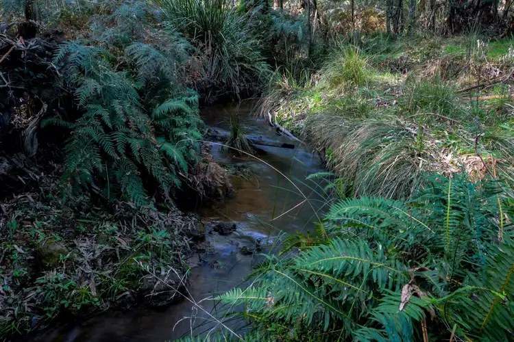Fifth view of Homely land listing, 615 Gembrook Road, Hoddles Creek VIC 3139