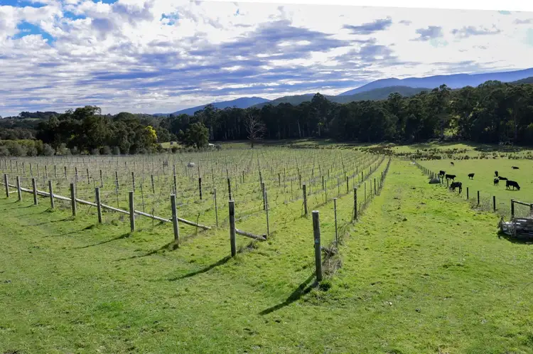Sixth view of Homely land listing, 615 Gembrook Road, Hoddles Creek VIC 3139